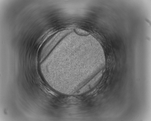 X0000097820290200804111021