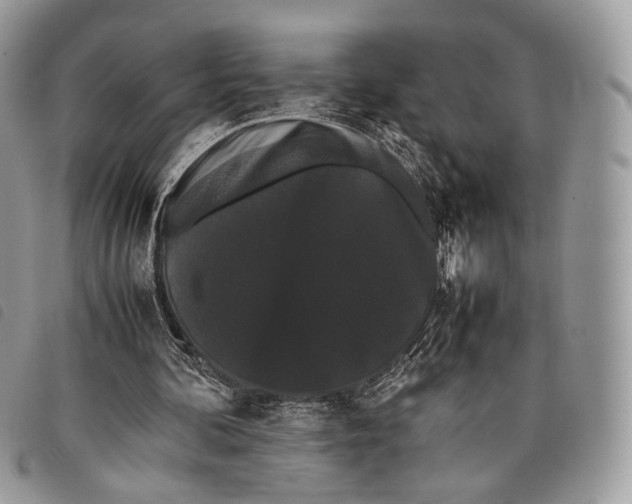 X0000097820292200804111021