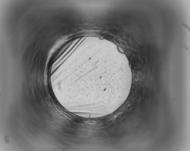 X0000097820294200804111021