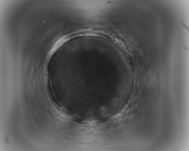 X0000097820295200804111021