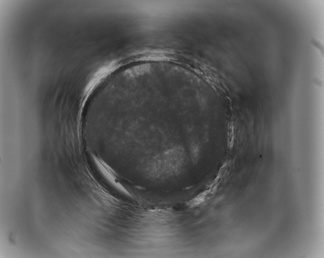 X0000097820296200804111021