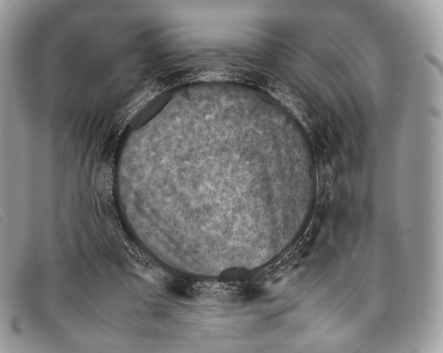 X0000097820297200804111021