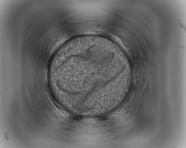 X0000097820299200804111021