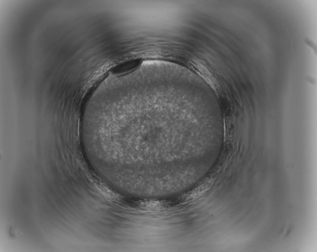 X0000097820301200804111021