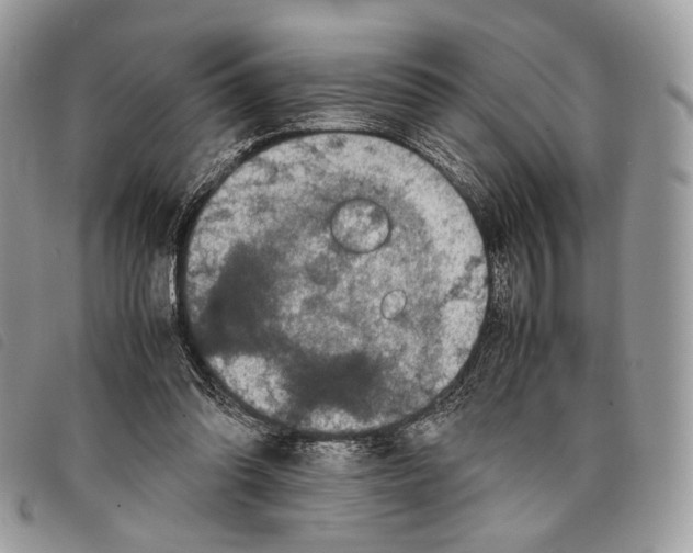 X0000097820302200804111021