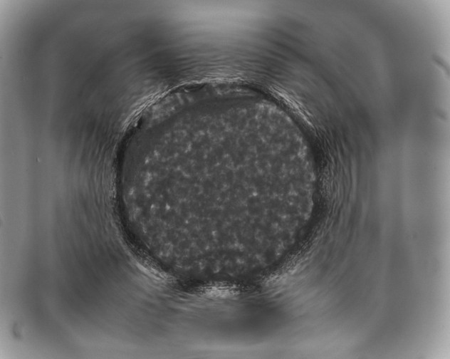 X0000097820303200804111021