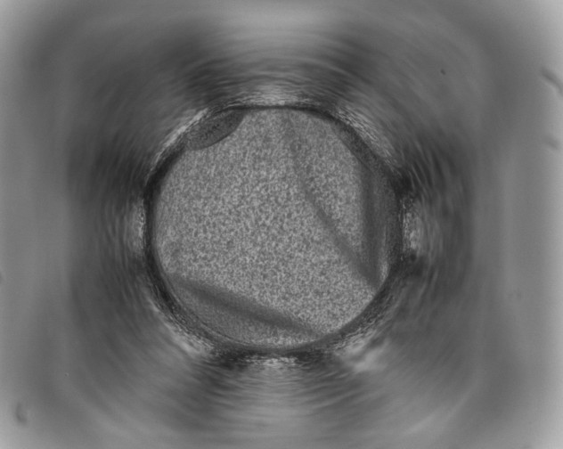 X0000097820304200804111021