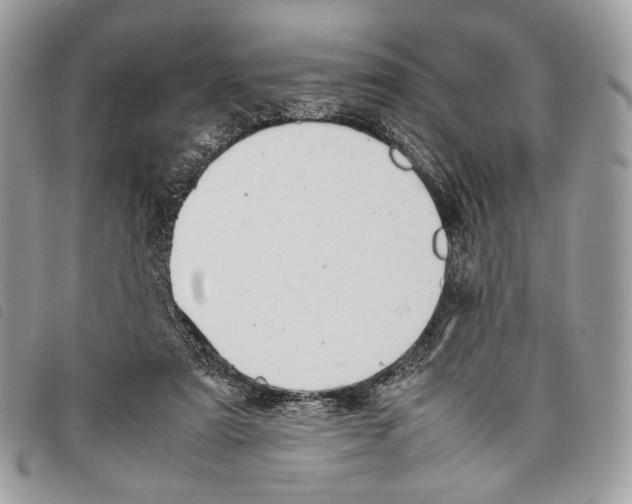 X0000097820307200804111021