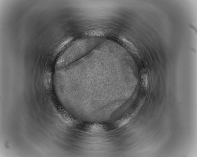 X0000097820308200804111021