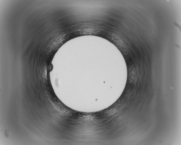 X0000097820310200804111021