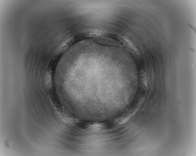 X0000097820312200804111021