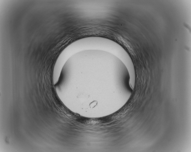 X0000097820313200804111021