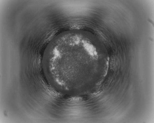 X0000097820314200804111021