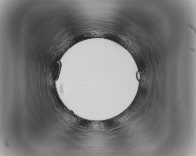 X0000097820317200804111021