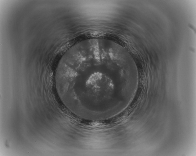 X0000097820319200804111021