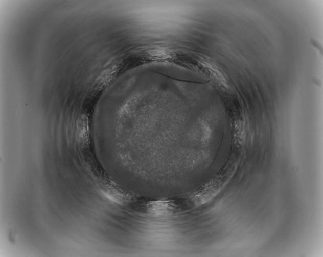 X0000097820320200804111021