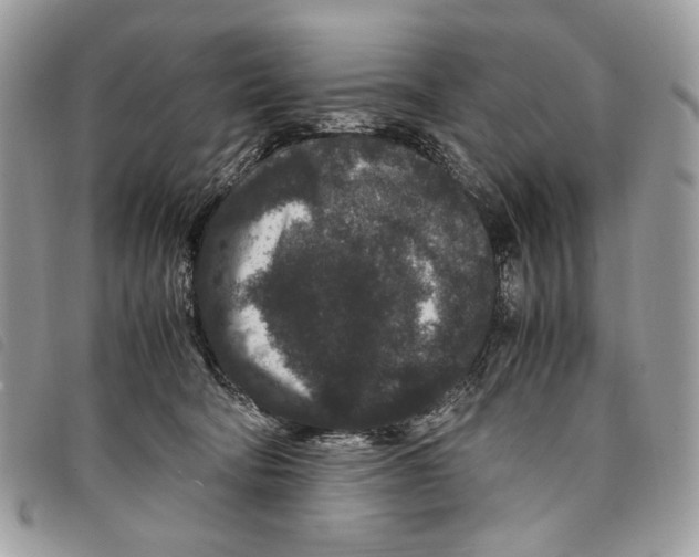 X0000097820322200804111021