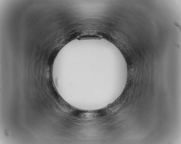 X0000097820323200804111021