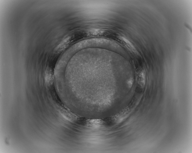 X0000097820324200804111021