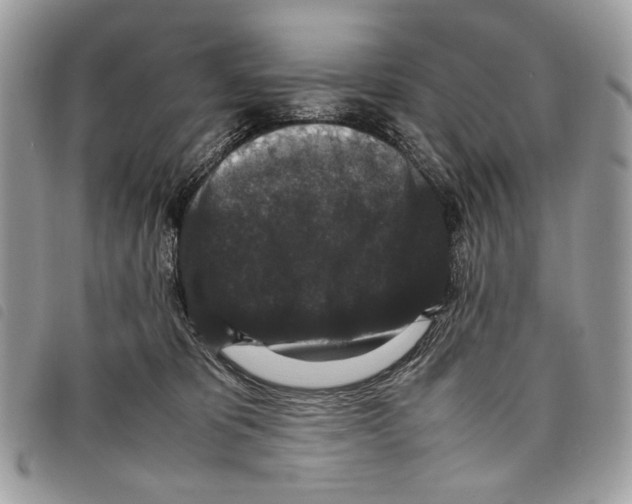 X0000097820325200804111021