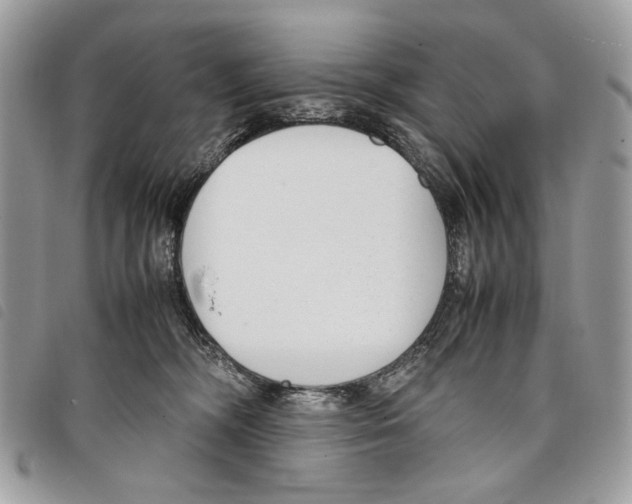 X0000097820326200804111021