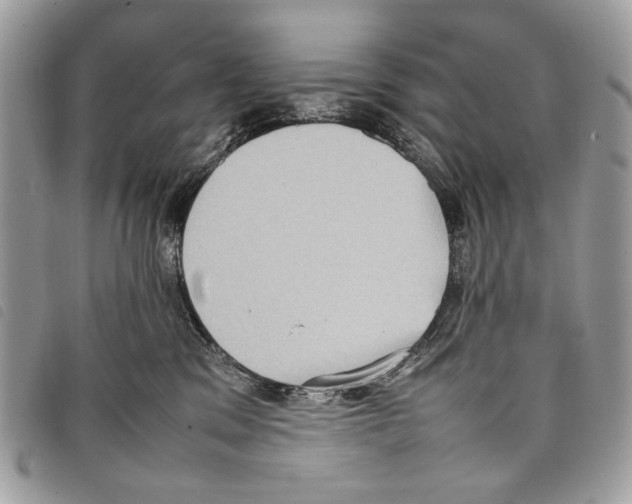 X0000097820329200804111021