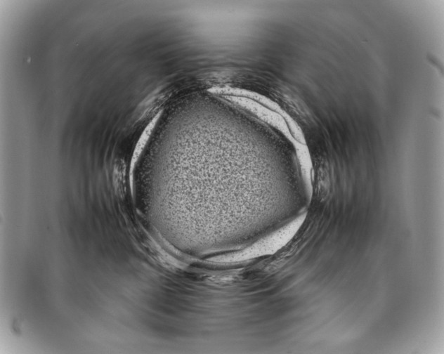 X0000097820332200804111021