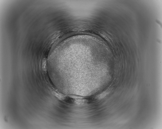 X0000097820336200804111021