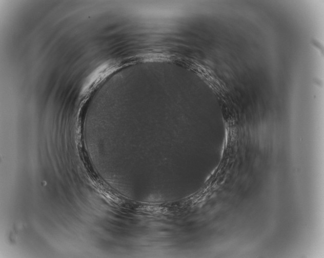 X0000097820339200804111020