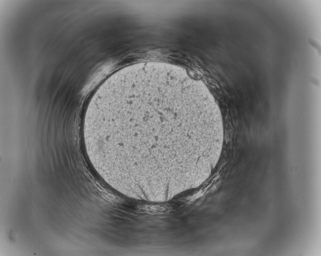 X0000097820341200804111020