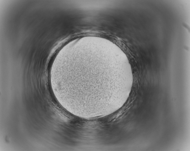 X0000097820342200804111020