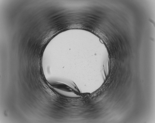 X0000097820345200804111020