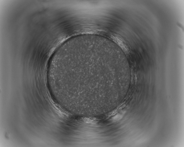 X0000097820346200804111020