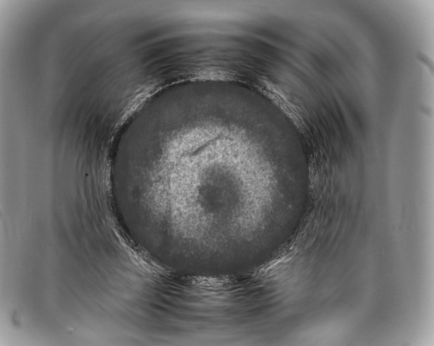 X0000097820347200804111020