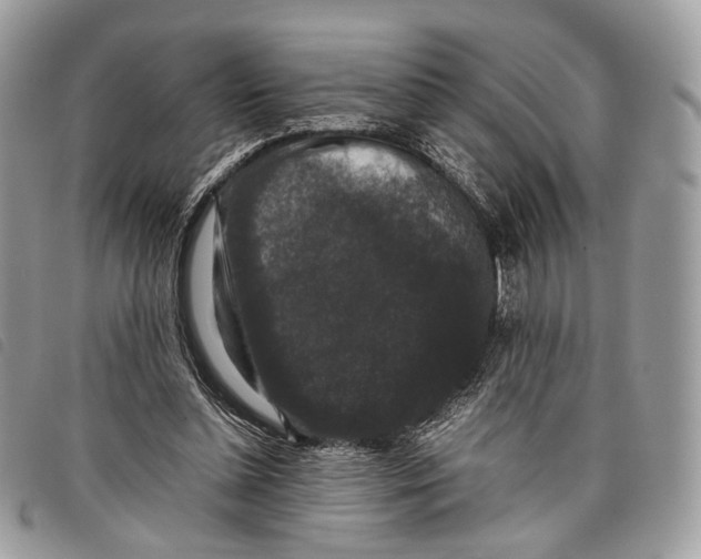 X0000097820348200804111020