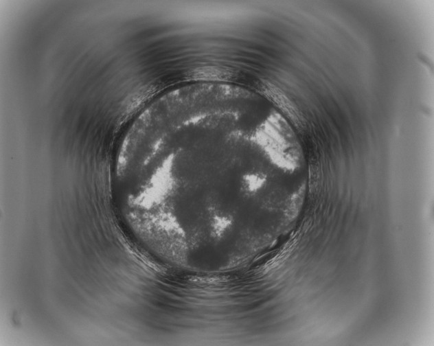 X0000097820349200804111020