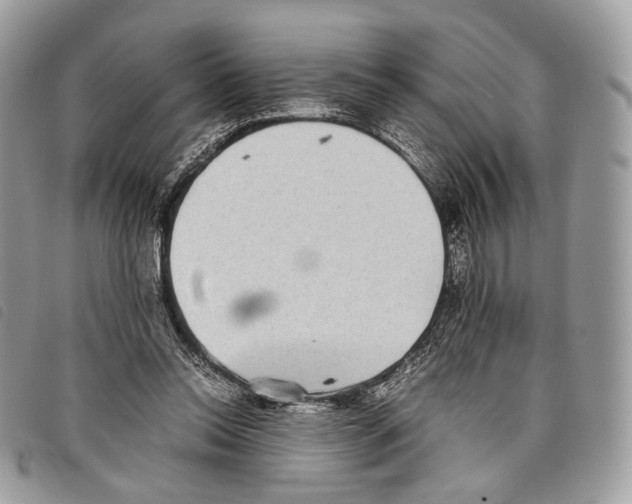 X0000097820350200804111020