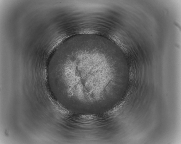 X0000097820351200804111020