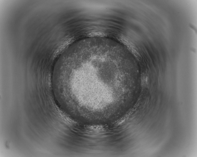 X0000097820353200804111020