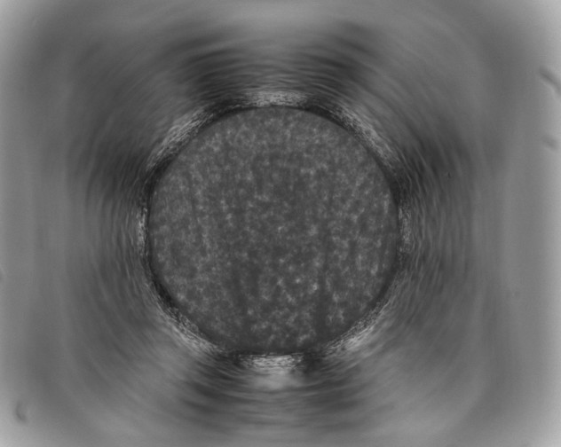 X0000097820357200804111020