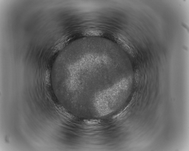 X0000097820359200804111020