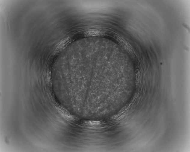 X0000097820361200804111020