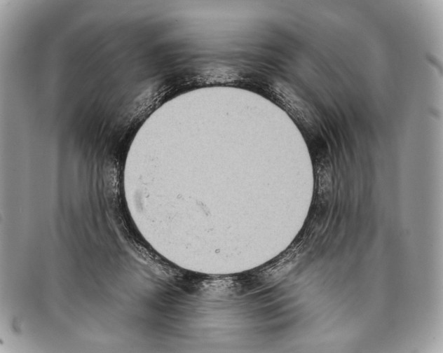 X0000097820362200804111021