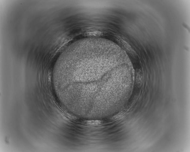 X0000097820363200804111021