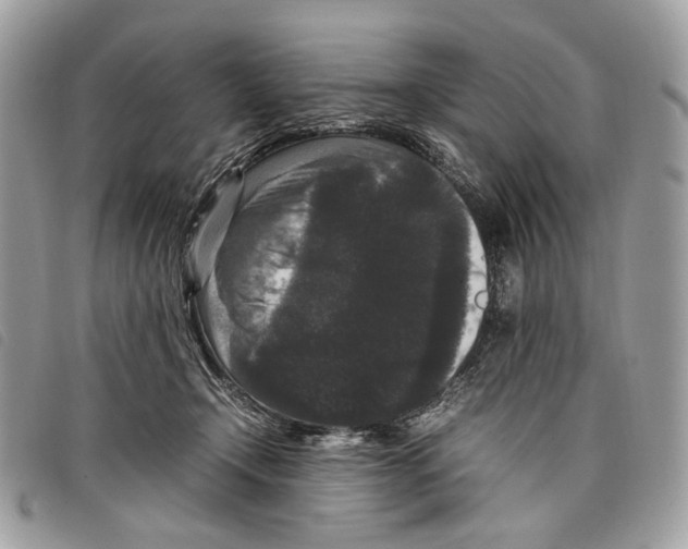 X0000097820366200804111021