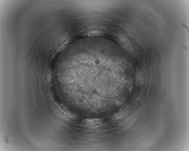 X0000097820367200804111021