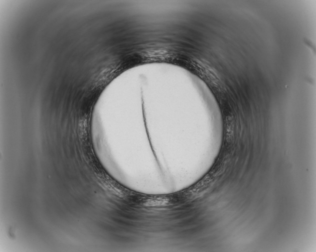 X0000097820369200804111021