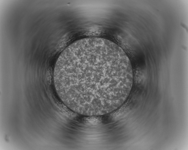 X0000097820370200804111021