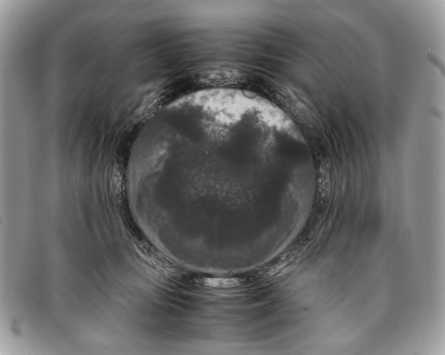 X0000097820371200804111021