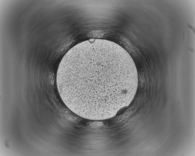 X0000097820374200804111021